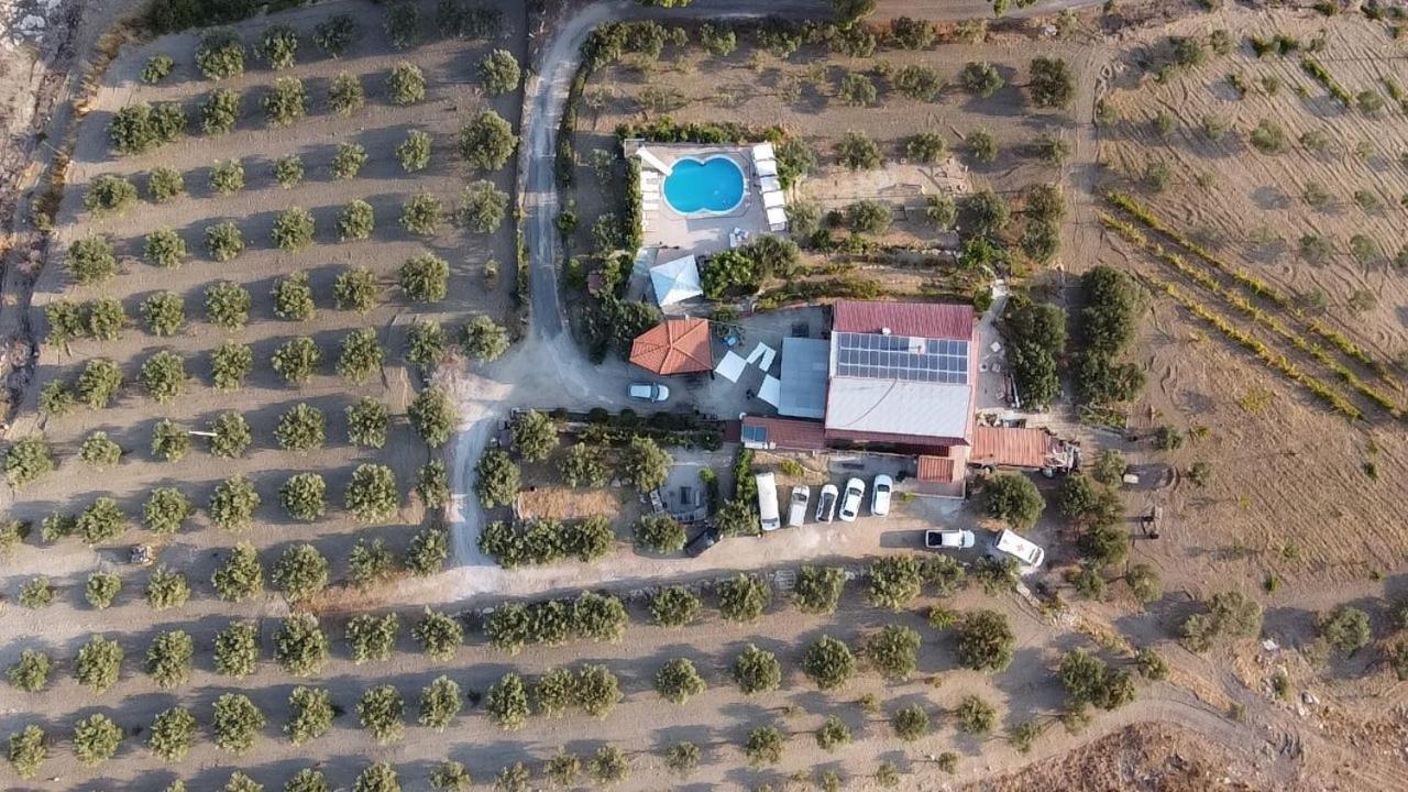 Terra Nostra Bed & Breakfast Cattolica Eraclea Ngoại thất bức ảnh